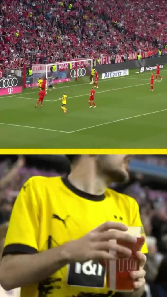 勇者無(wú)懼！這是真多特球迷！在拜仁球迷區(qū)一個(gè)人肆意慶祝！